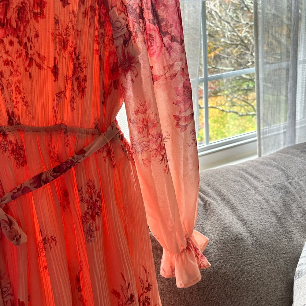 L flying tomatoes dress purchases from VICI. Never worn- new with tags. - Picture 4 of 6
